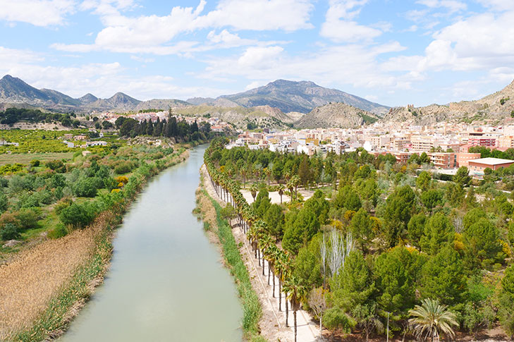 ALTO DE BAYNA VIEWPOINT