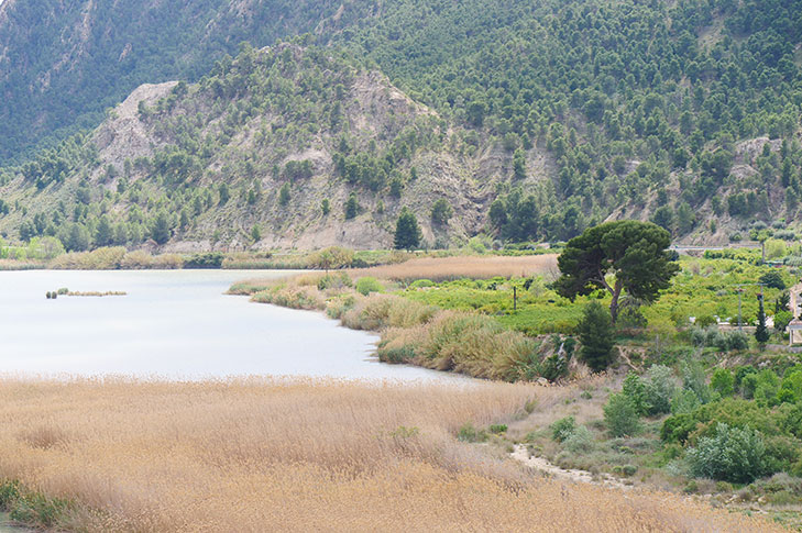 ALTO DE BAYNA VIEWPOINT