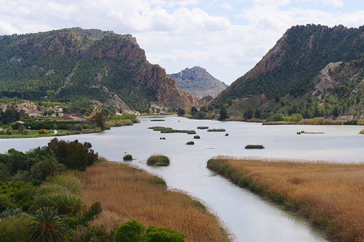 ALTO DE BAYNA VIEWPOINT