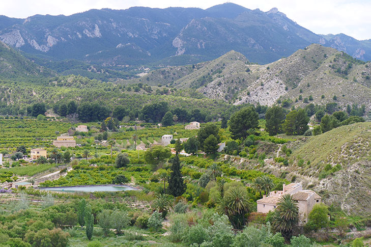 ALTO DE BAYNA VIEWPOINT