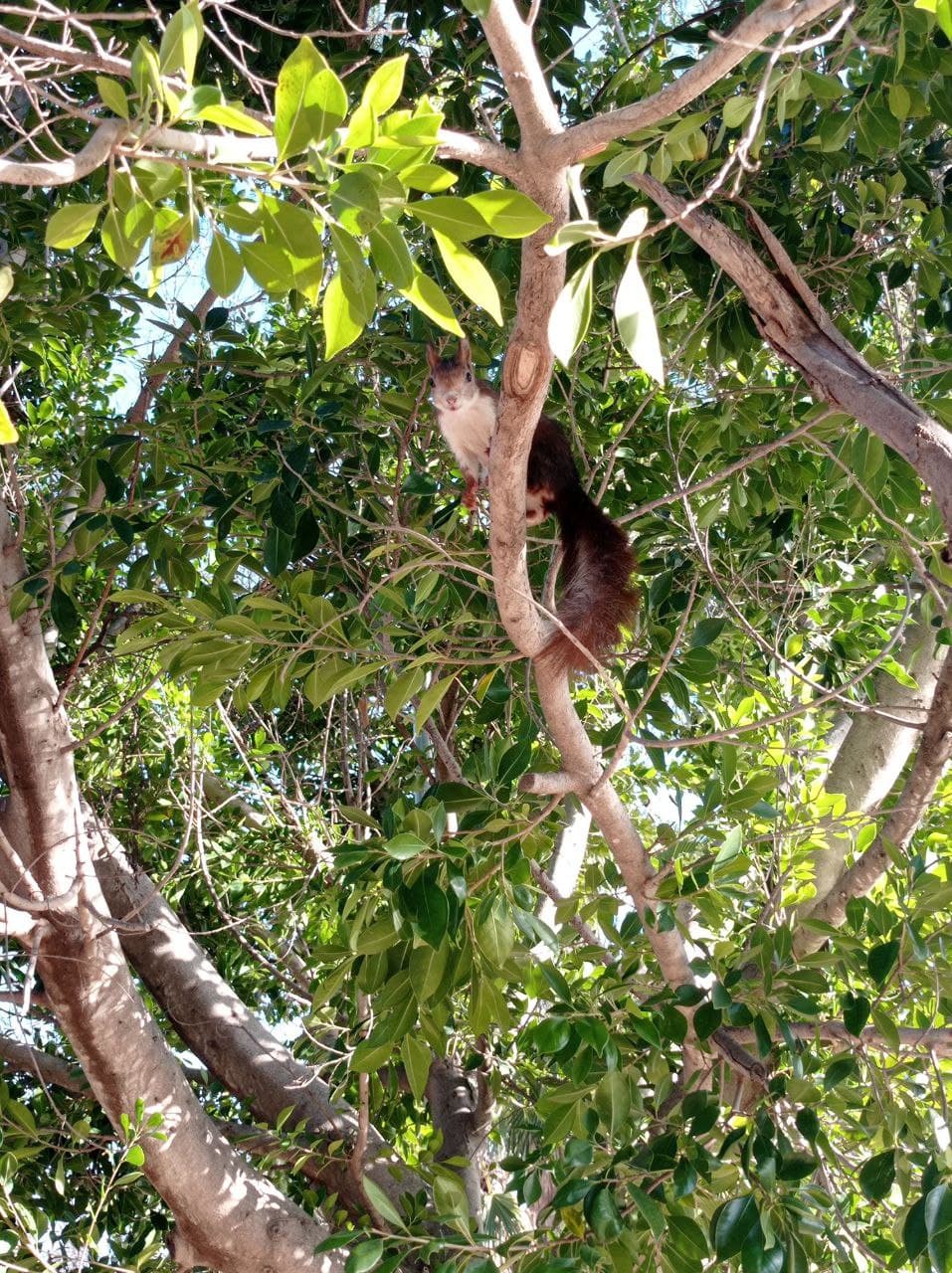 PARQUE BOTNICO LAS CUEVAS