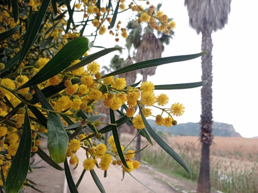 PARQUE BOTNICO LAS CUEVAS