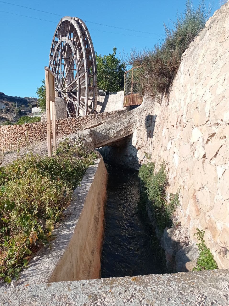 MIGUELICO NUEZ WATERWHEEL