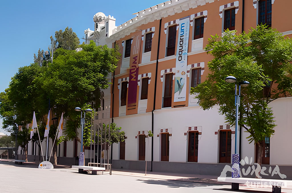 MUSEO DE LA UNIVERSIDAD DE MURCIA