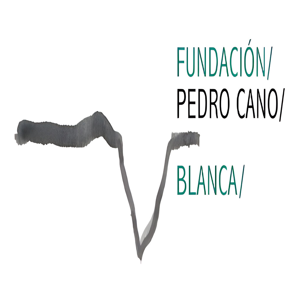 FUNDACIN PEDRO CANO