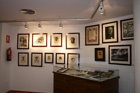 SALA MUSEO JOSE MATRN