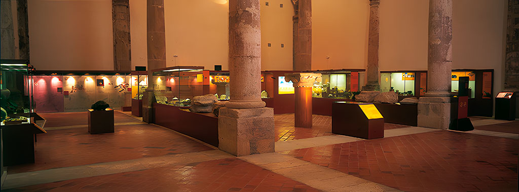 MUSEO ARQUEOLGICO MUNICIPAL LA SOLEDAD