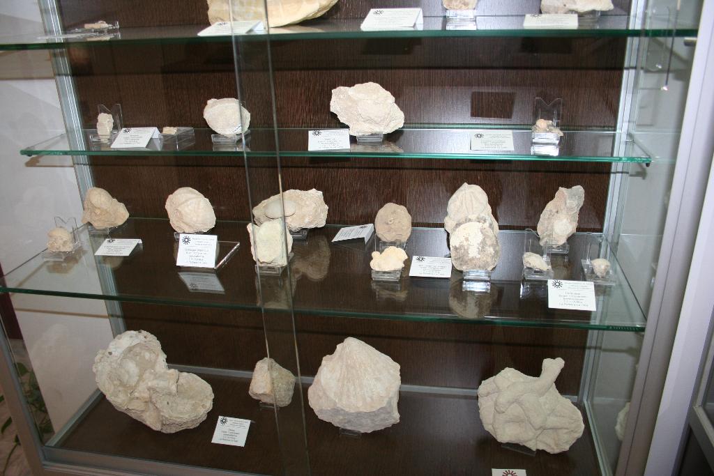 MUSEO MUNICIPAL JEROMINO MOLINA SECCION DE ETNOGRAFIA Y CIENCIAS DE LA NATURALEZA