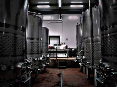 BODEGAS XENYSEL