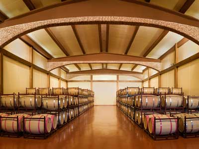 BODEGAS BLEDA (JUMILLA)