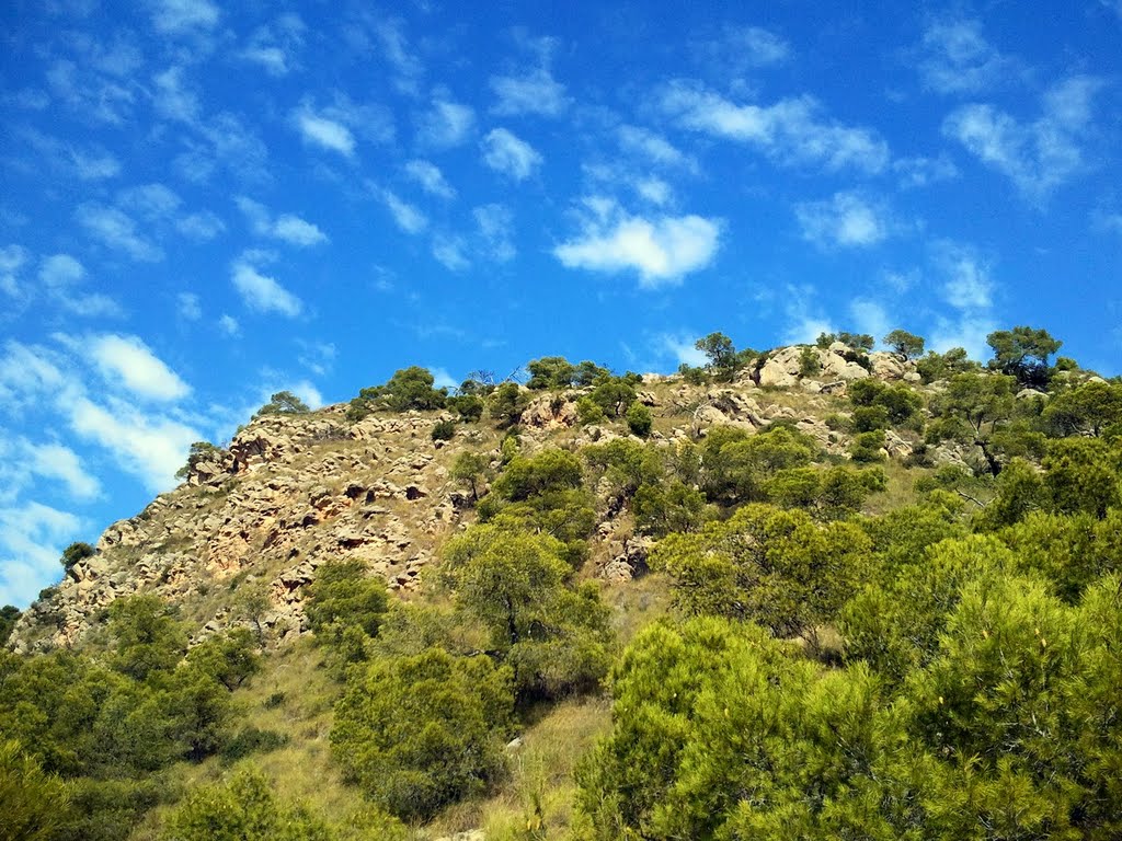 MIRADOR DE LA CRUZ TRAIL