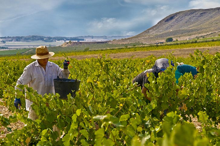 BODEGAS JUAN GIL