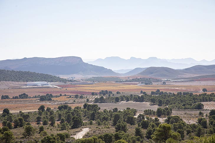 BODEGAS JUAN GIL