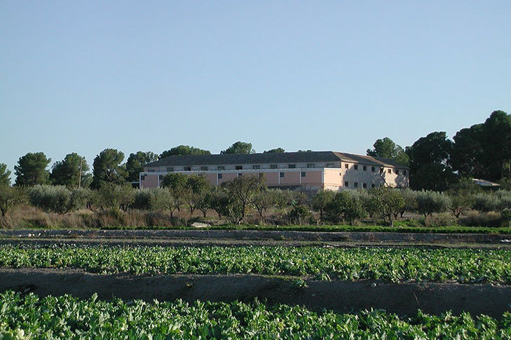 BODEGA TERCIA DE ULEA