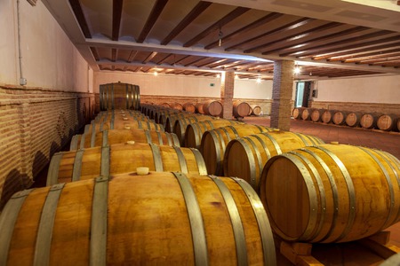 BODEGAS RIBERA DEL JU