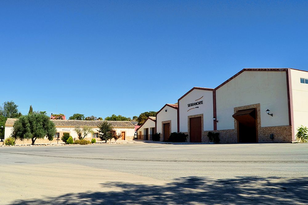 BODEGA SIERRA NORTE JUMILLA