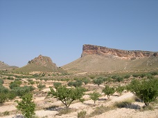 SIERRA DE LA CINGLA