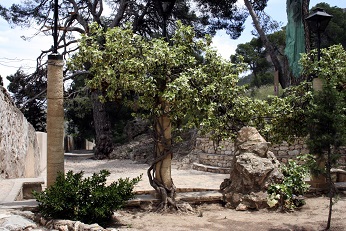 RUTA SIERRA DE SANTA ANA