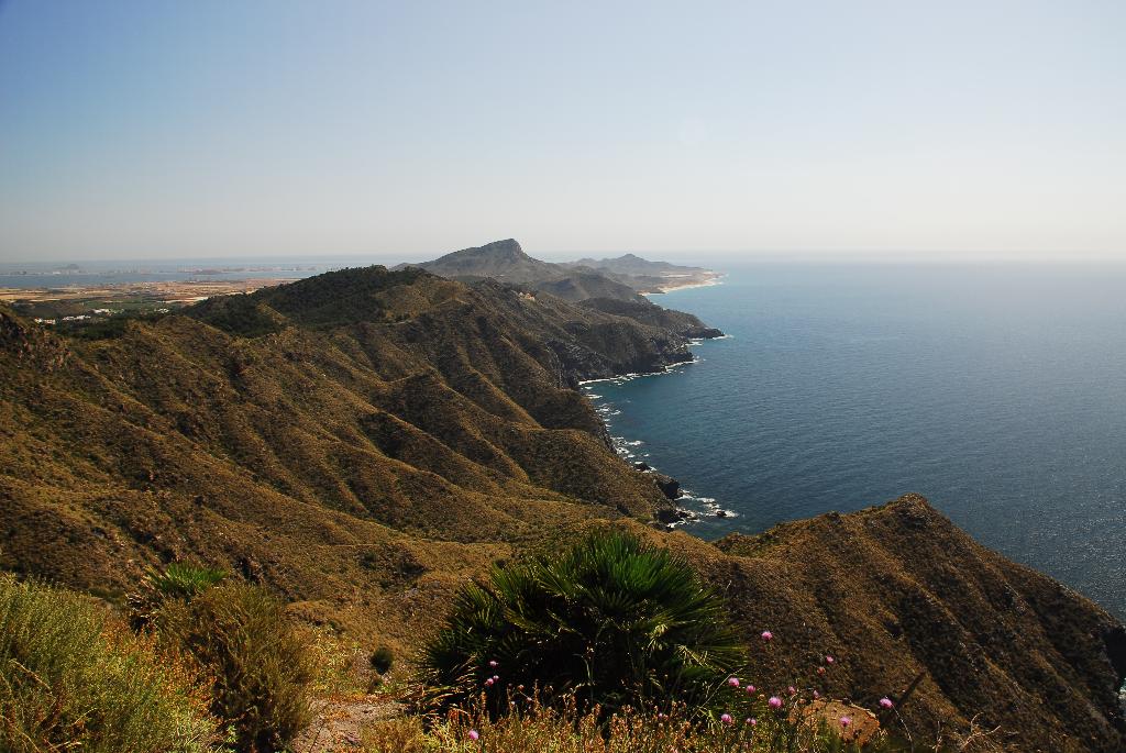 TRAIL CALA REONA - MIRADOR DE PUNTA NEGRA