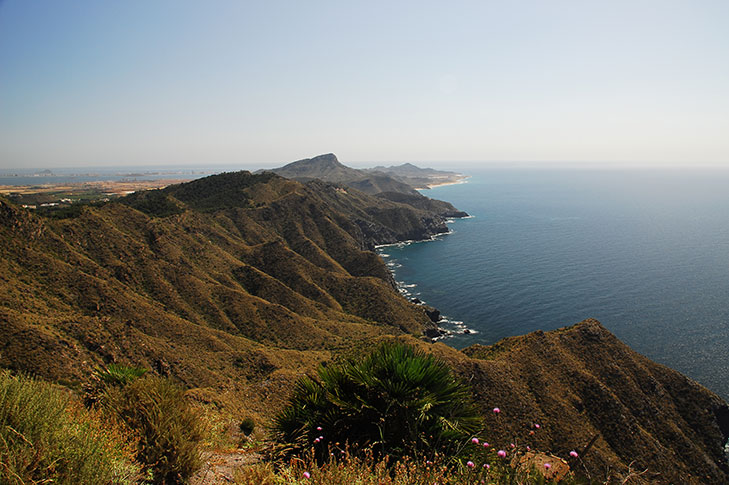 TRAIL CALA DEL BARCO - MONTE DE LAS CENIZAS