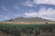 REGIONAL PARK OF SIERRA DEL CARCHE