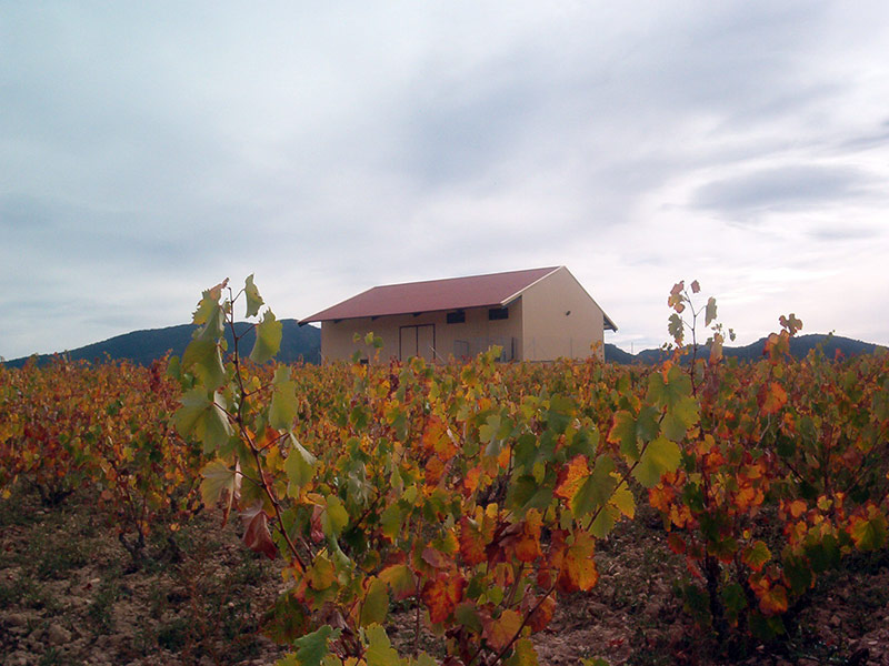 BODEGA MONASTRELL