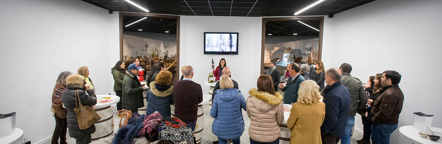 MUSEO DEL VINO CASA DE LA ERMITA