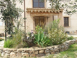 BODEGAS NIDO DEL CUCO