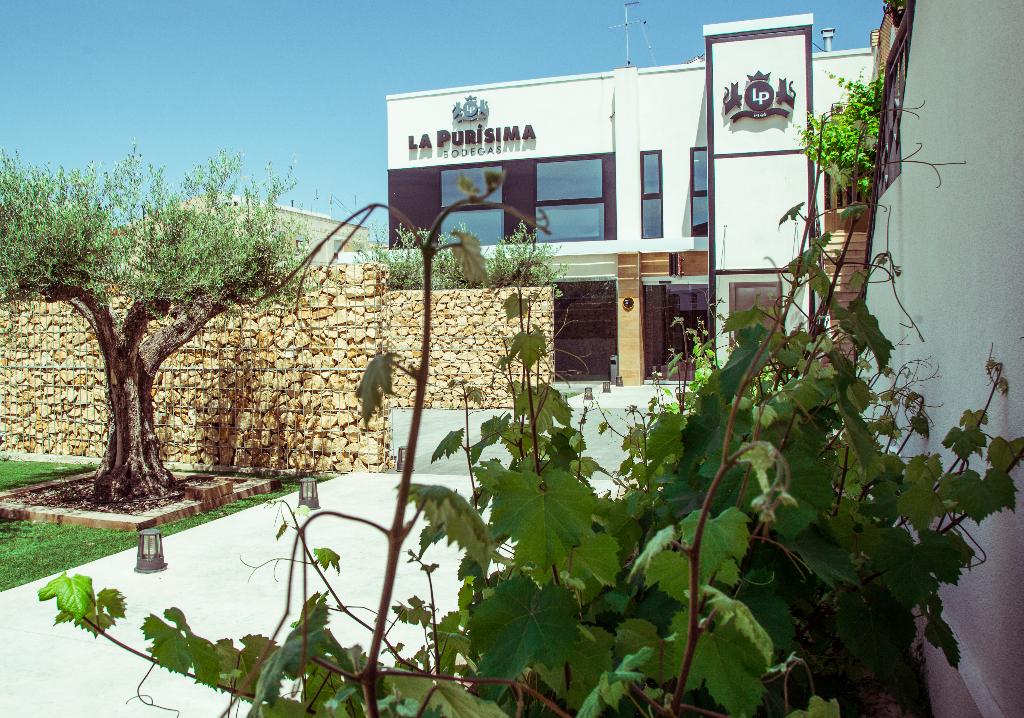 BODEGAS LA PURSIMA