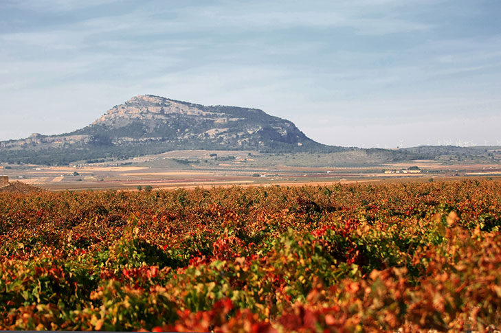 BODEGAS CASTAO