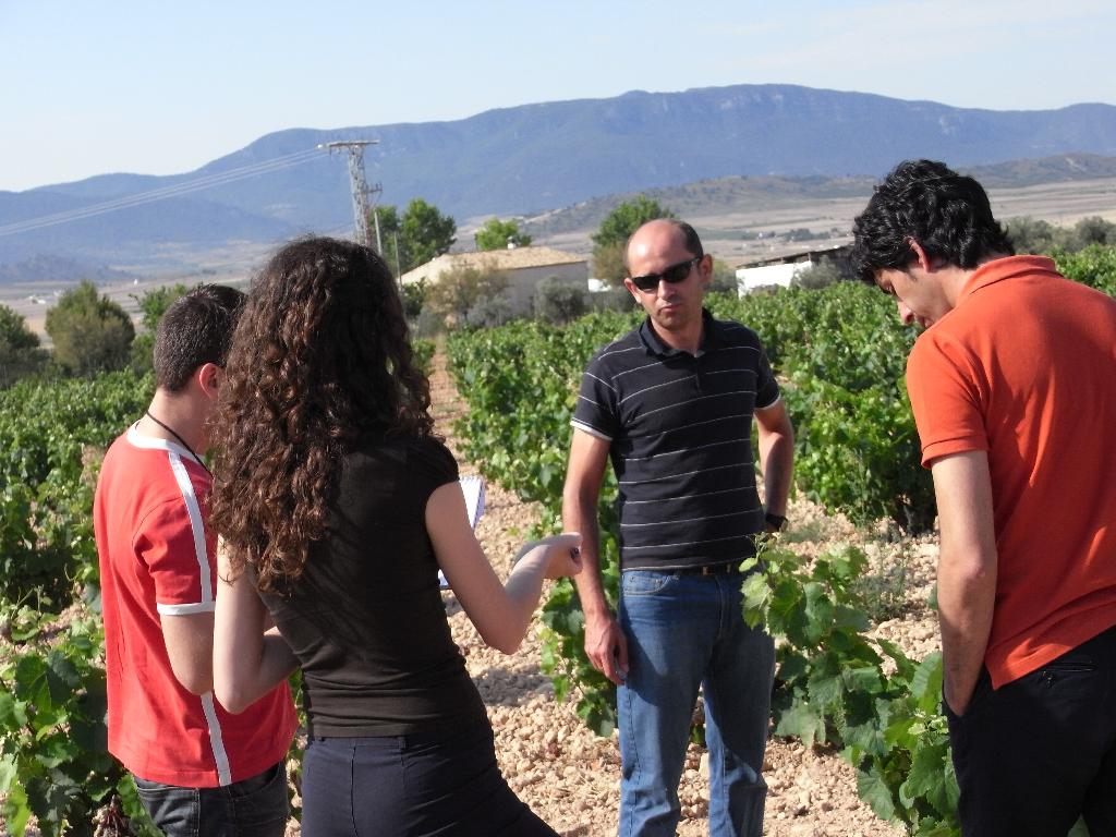 BODEGAS CASTAO