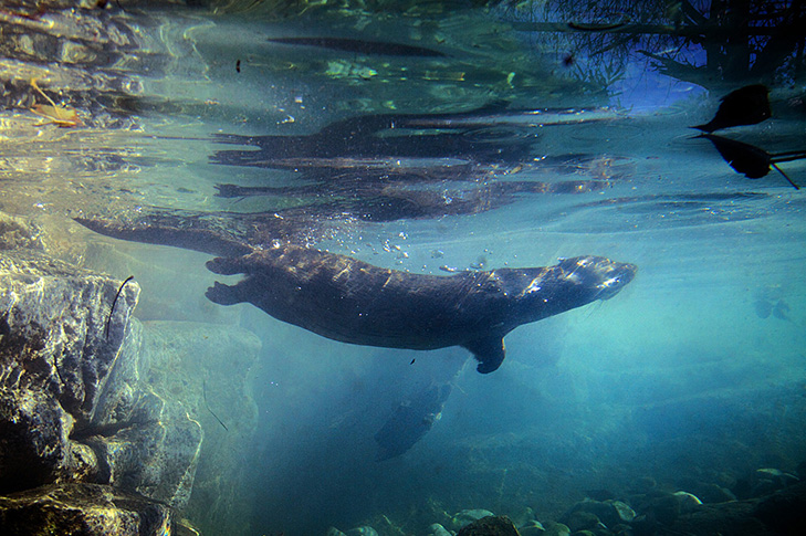 TERRA NATURA MURCIA