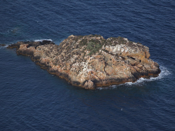 PLAYA CUEVA DE LOBOS