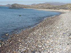 PLAYA COBATICAS