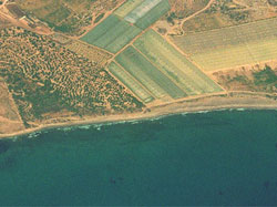 PLAYA COBATICAS