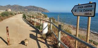 PLAYA CANINA LA CALERA