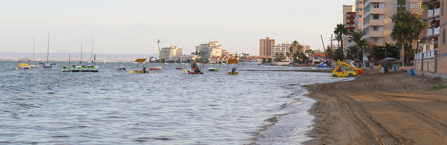 PLAYA ALSEOS