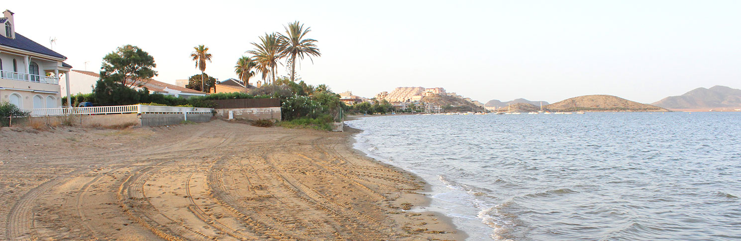 PLAYA ALSEOS