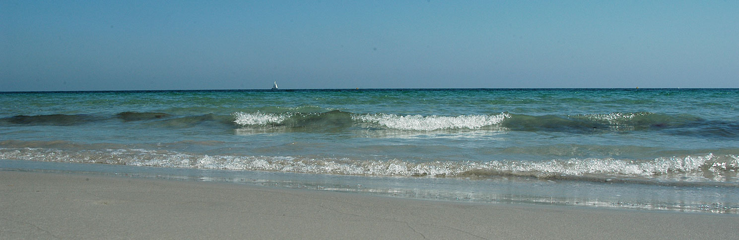 PLAYAS DE LA LLANA (PLAYA DE LA BARRACA QUEMADA)