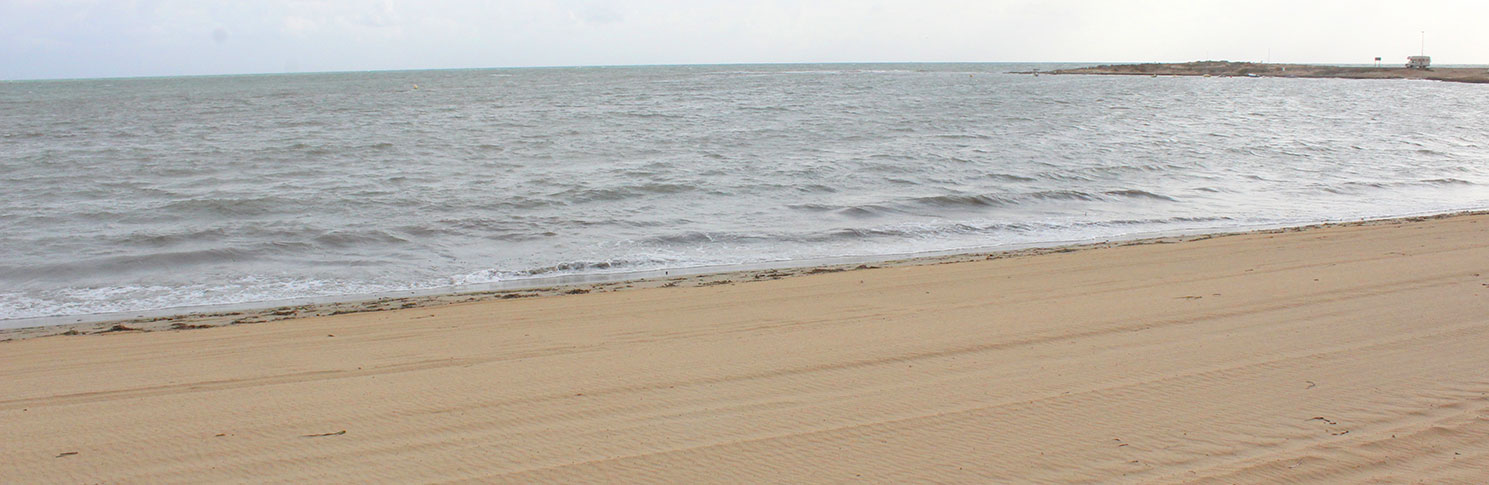 PLAYA ENSENADA DEL ESPARTO