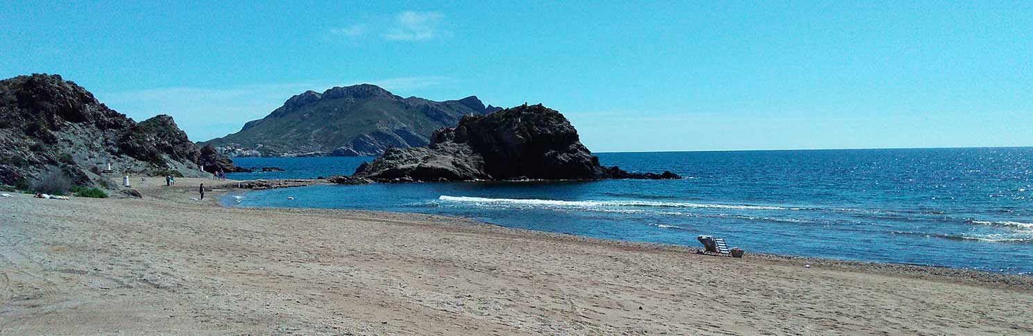 PLAYA DEL ARROZ