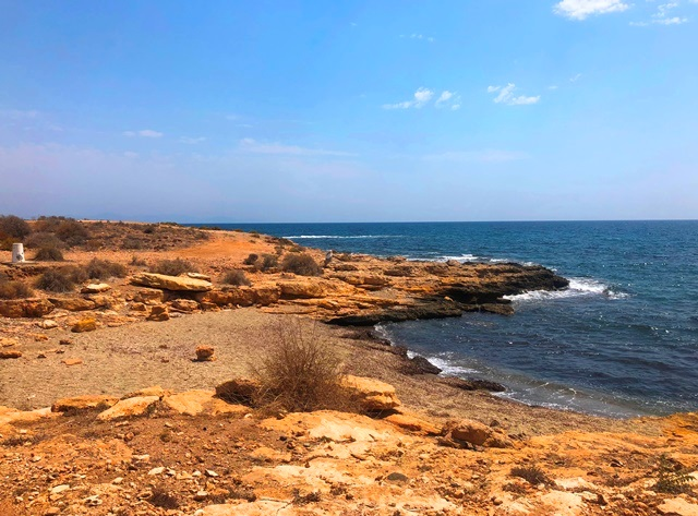 PLAYA DE LAS PULGAS