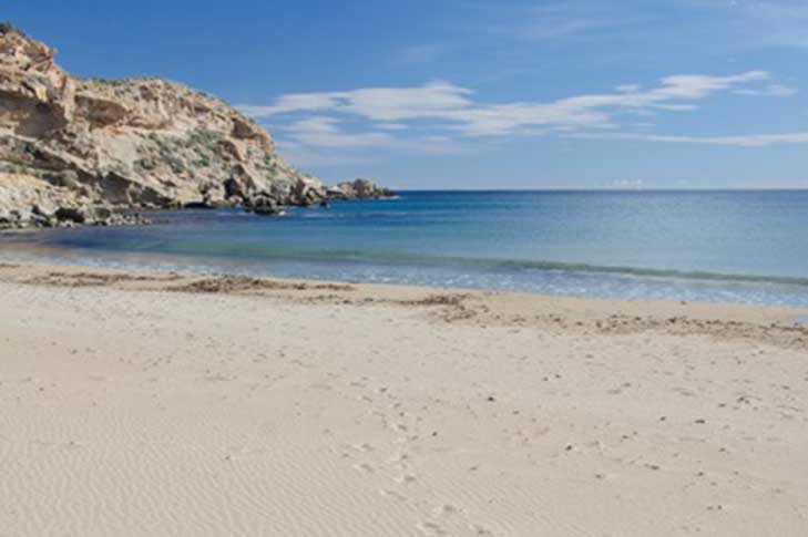 PLAYA DE LA HIGUERICA