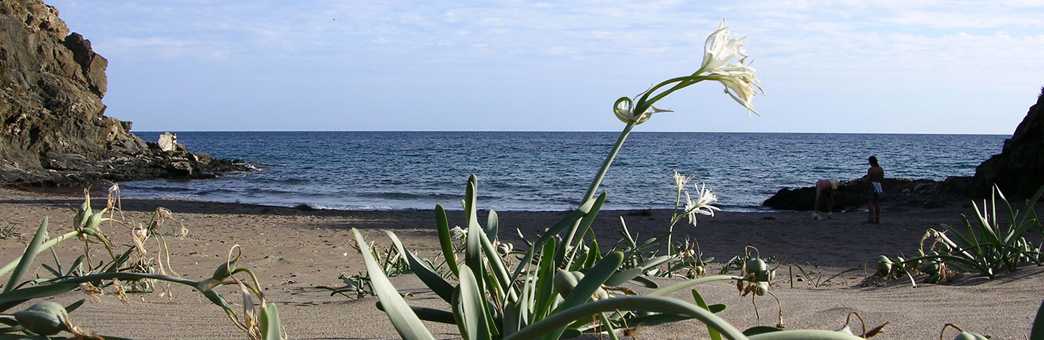 PLAYA BAO DE LAS MUJERES