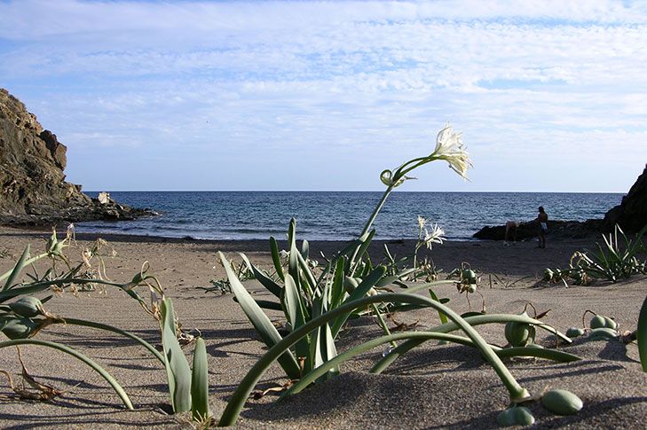 PLAYA BAO DE LAS MUJERES