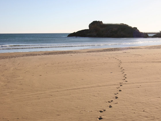 PLAYA DE LA REYA (JUNTA DE LOS MARES)