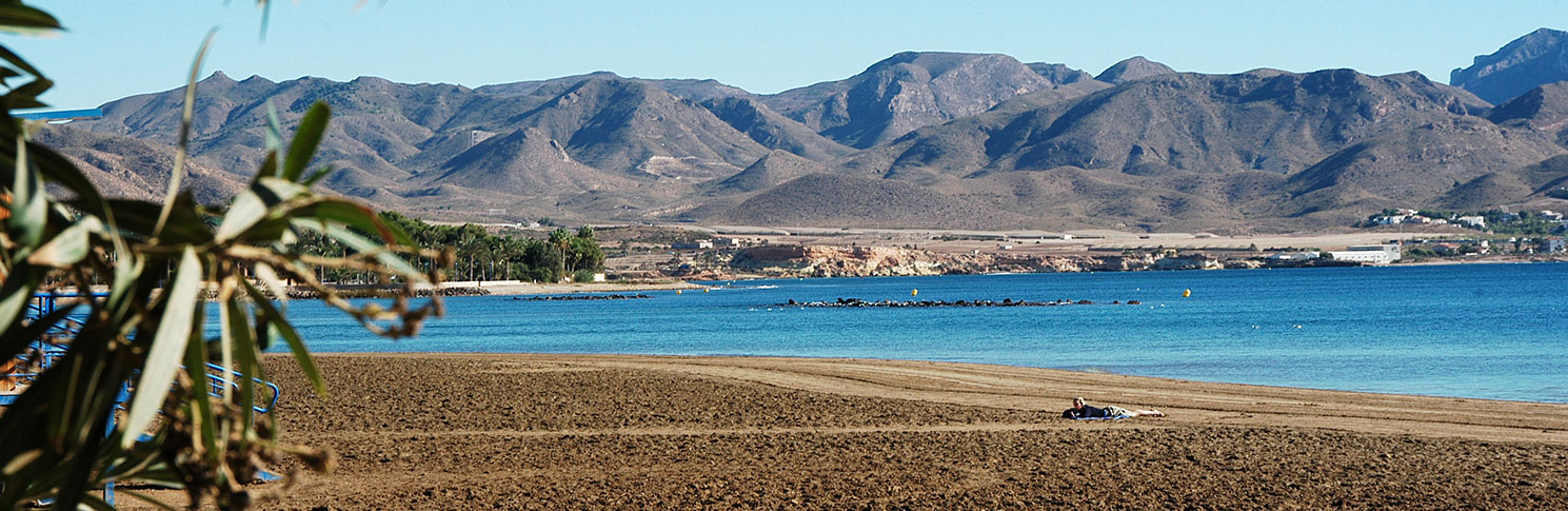 PLAYA DEL PUERTO DE MAZARRN