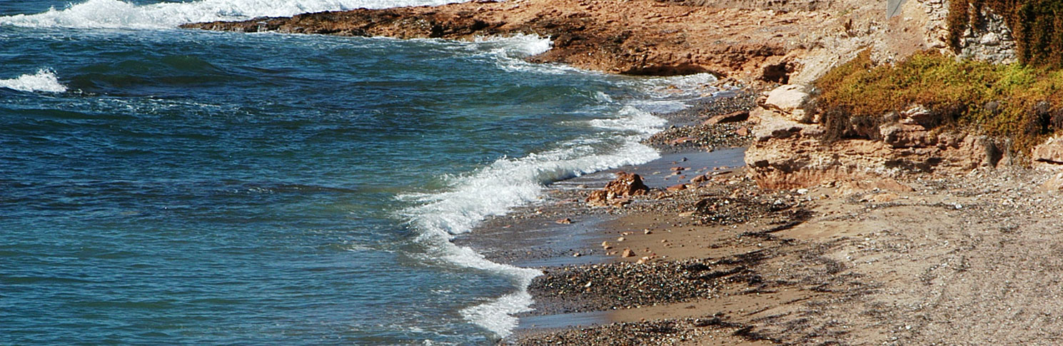 PLAYA DE EL ALAMILLO