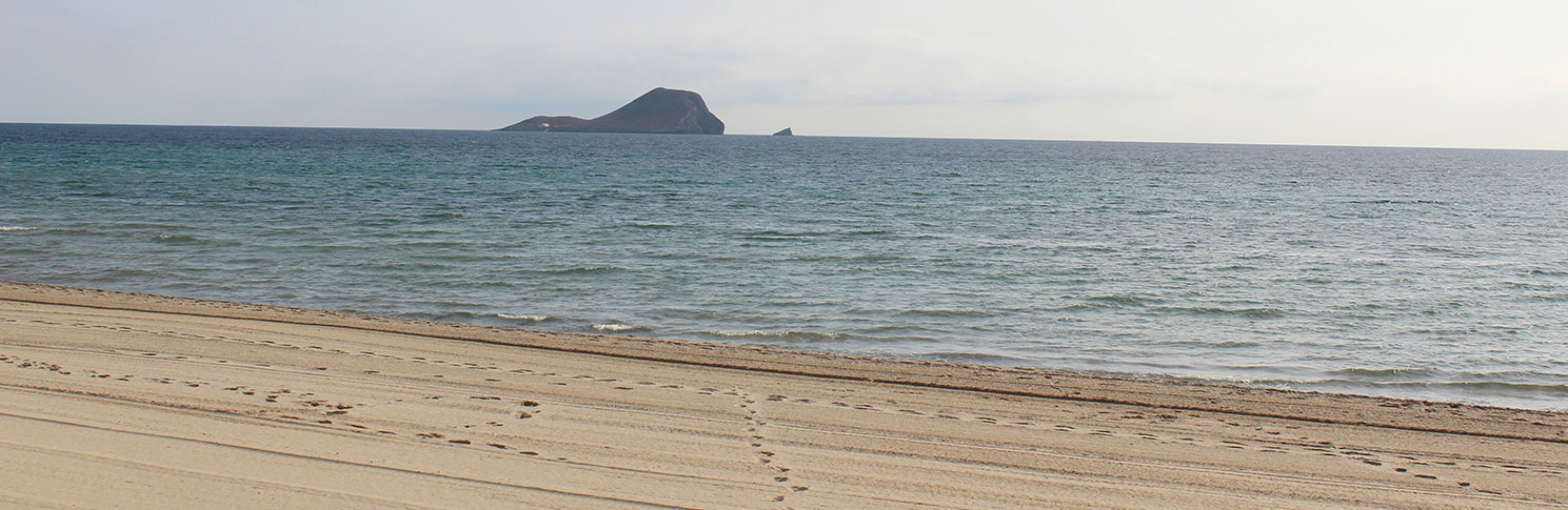 PLAYA PEDRUCHO