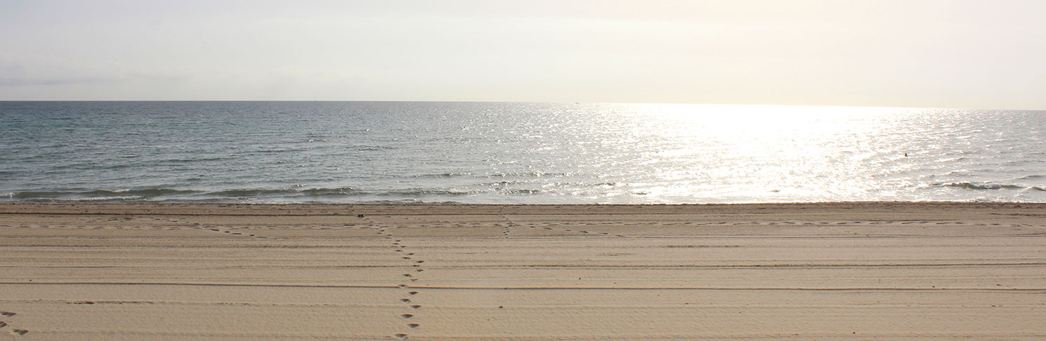 PLAYA PEDRUCHO